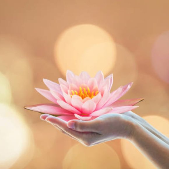 Bundle Up And Make Me An Offer! - Picture 2 of 2